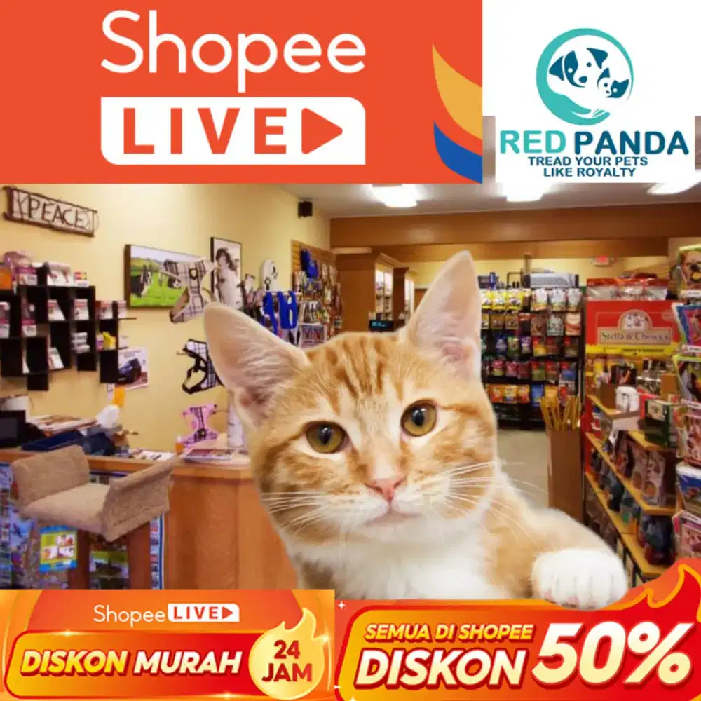 Lowongan kerja, momo petshop