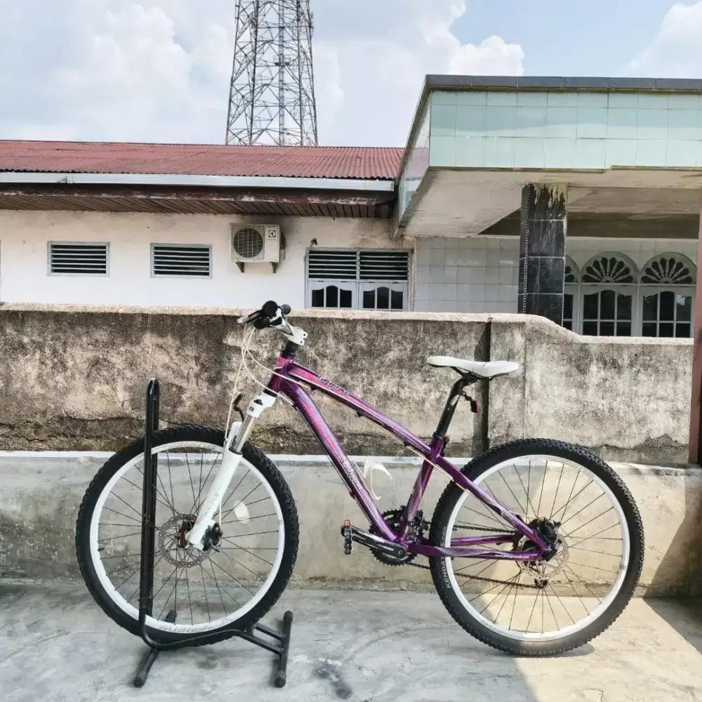 Dijual Sepeda Polygon Celine 3.0 Ukuran 26 inci