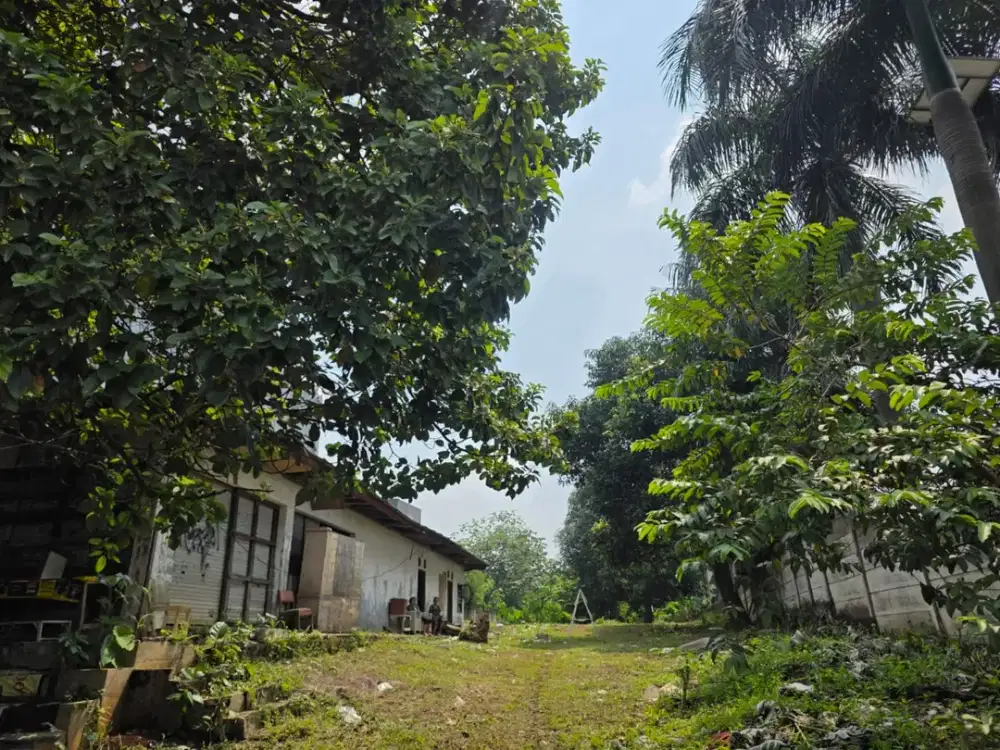 Dijual Tanah Pinggir Jalan Raya Tole Iskandar Lokasi Strategis dekat Pasar Modern Depok Jual Murah harga NJOP