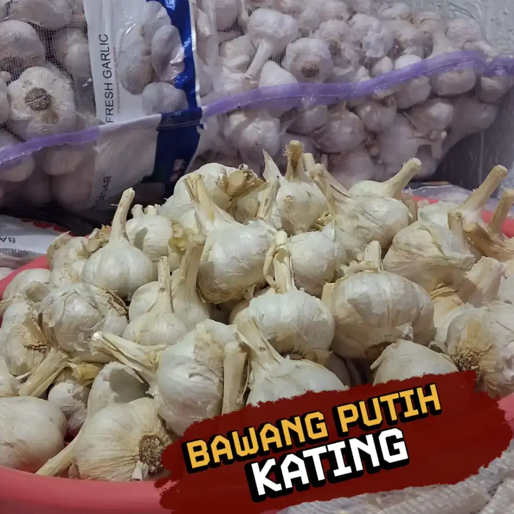 Bawang Putih Kating