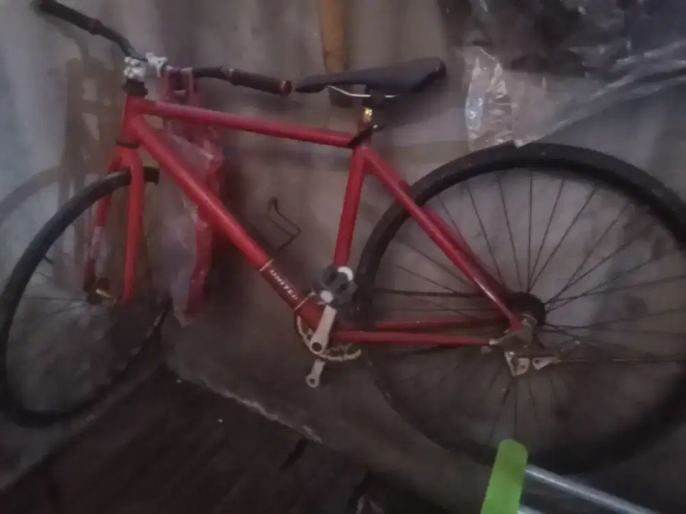 Dijual sepeda pixie dewasa