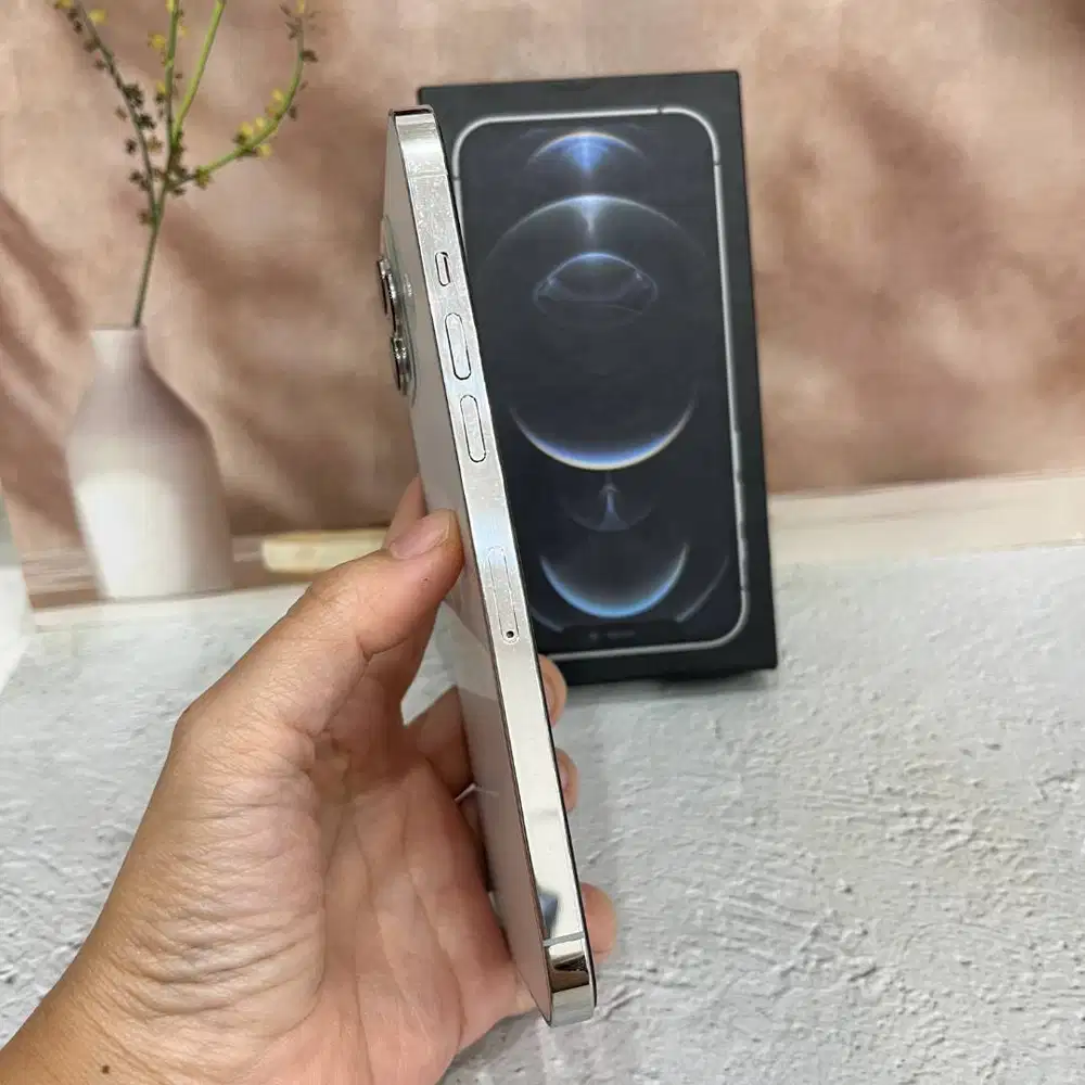 iPhone 12 Pro Max 256GB All Op second