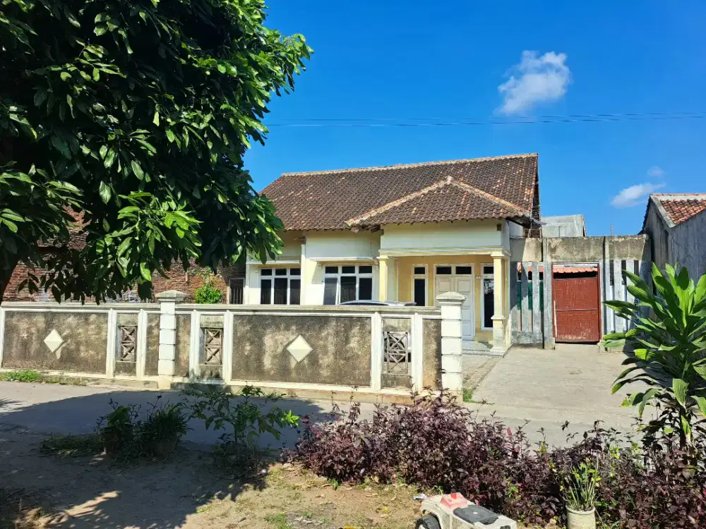 Rumah DiSewakan / Dikontrakan