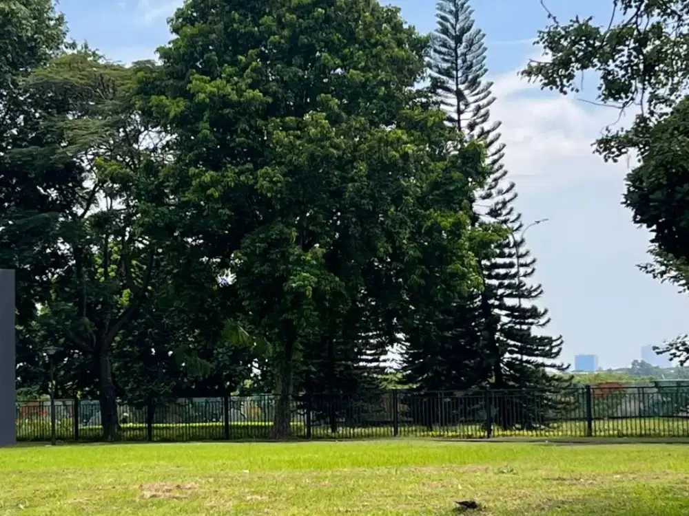 Dijual Kavling di Cajuputi De Park BSD City