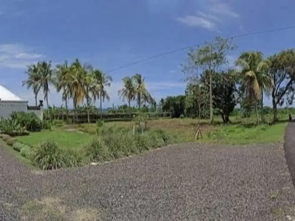 Tanah 81,5 Are View Pantai Dijual, di Selemadeg, Tabanan Area