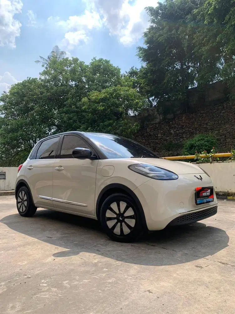 Wuling Binguo EV Premium Range 410km