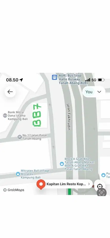 < < < tiktok : RAJA KITA