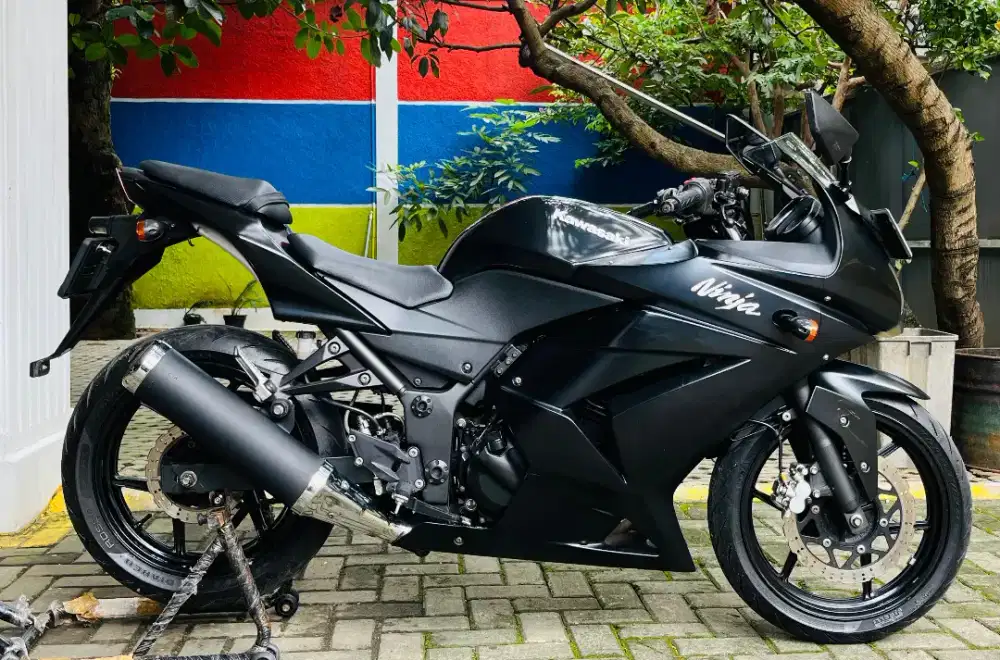 Kawasaki ninja 250 karbu