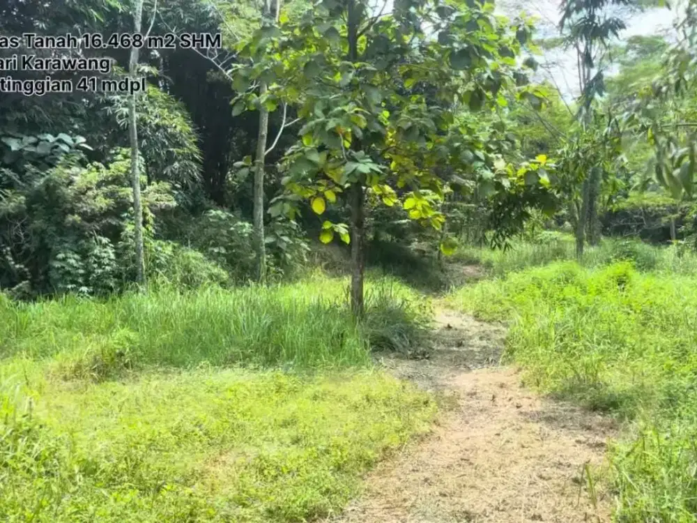Tanah Pinggir Jalan Besar Industriklari Karawang