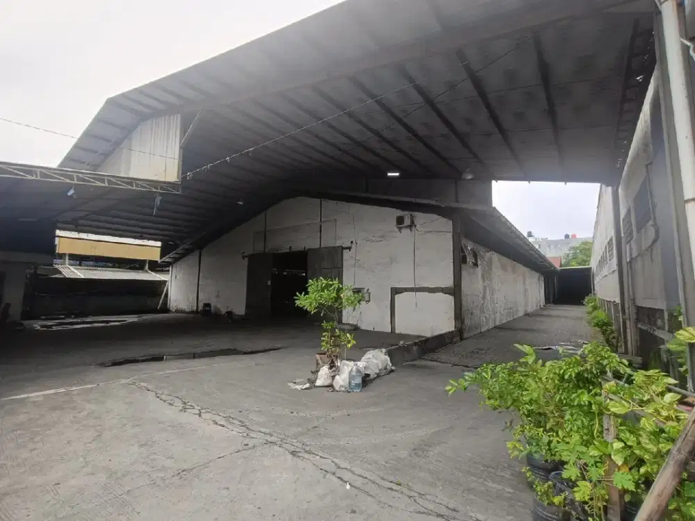Gudang Kapuk Kamal Raya Dadap Kayu Besar Salembaran Cengkareng