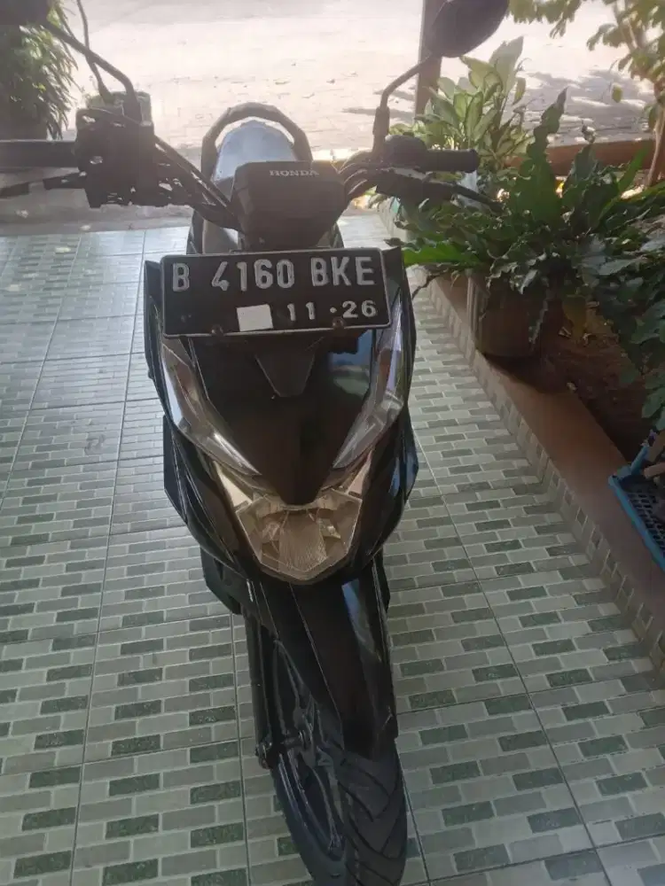 Beat streat 2016 pajek hidup