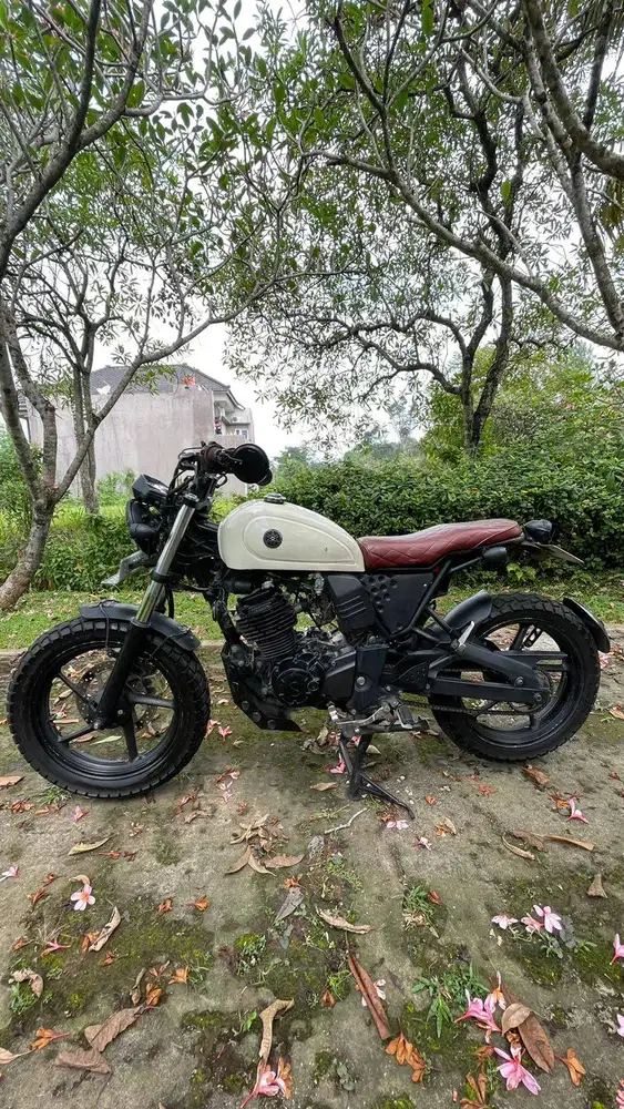 FOR SALE!! Motor Custom Scrambler