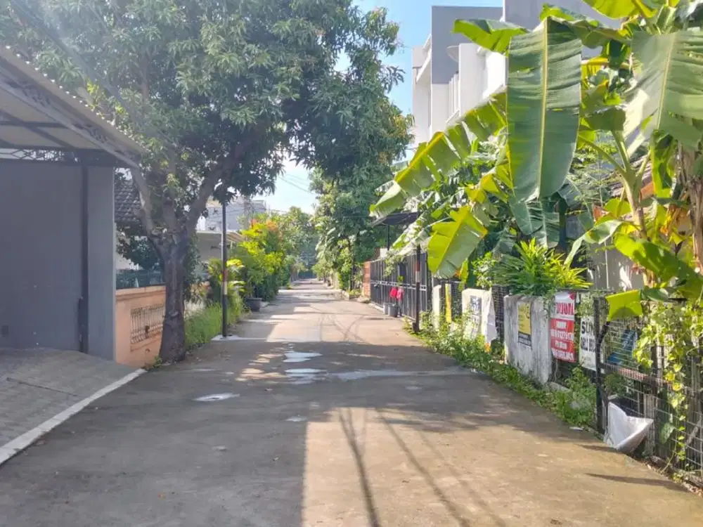 Dijual Rumah Bangunan Lama - Hitung Tanah Cengkir Timur - Jakarta Utara