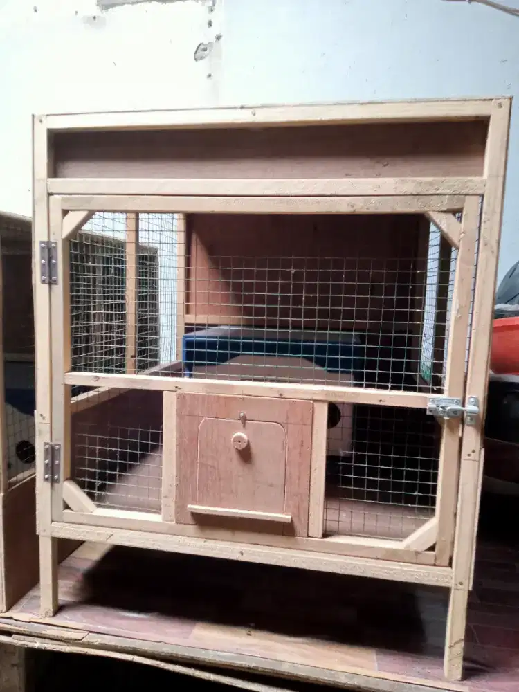 Kandang burung merpati + gupon