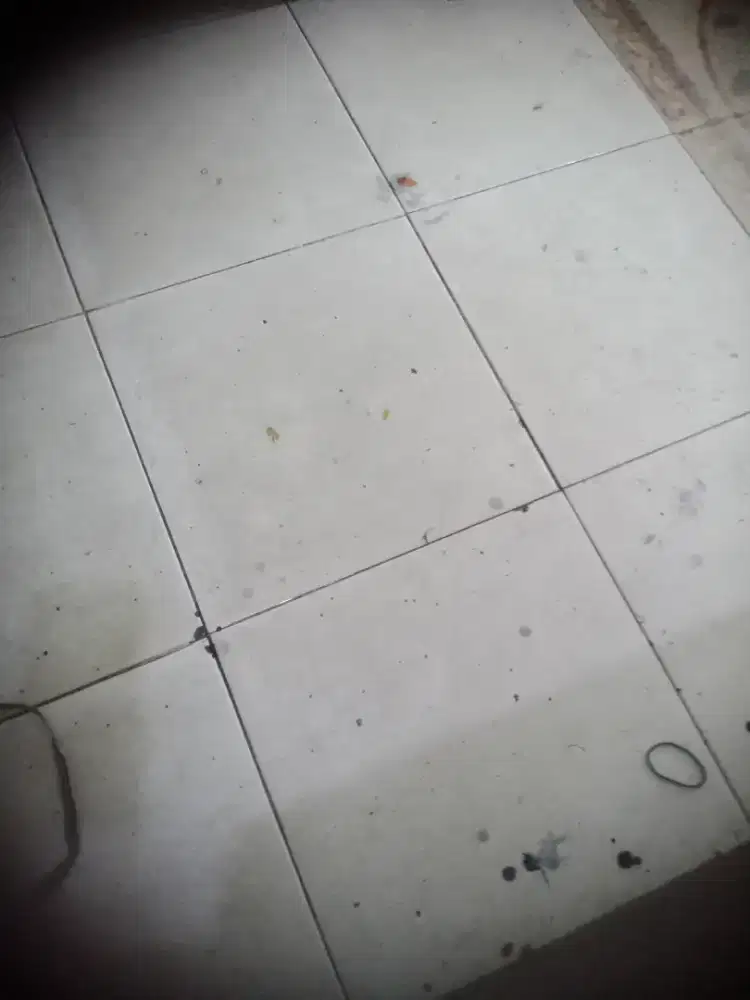 Dicari driver dan packing barang expedisi