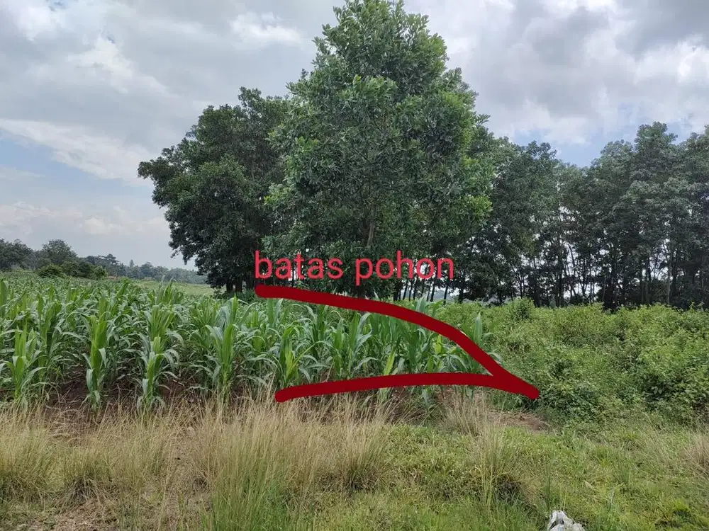 DIJUAL SEBIDANG TANAH