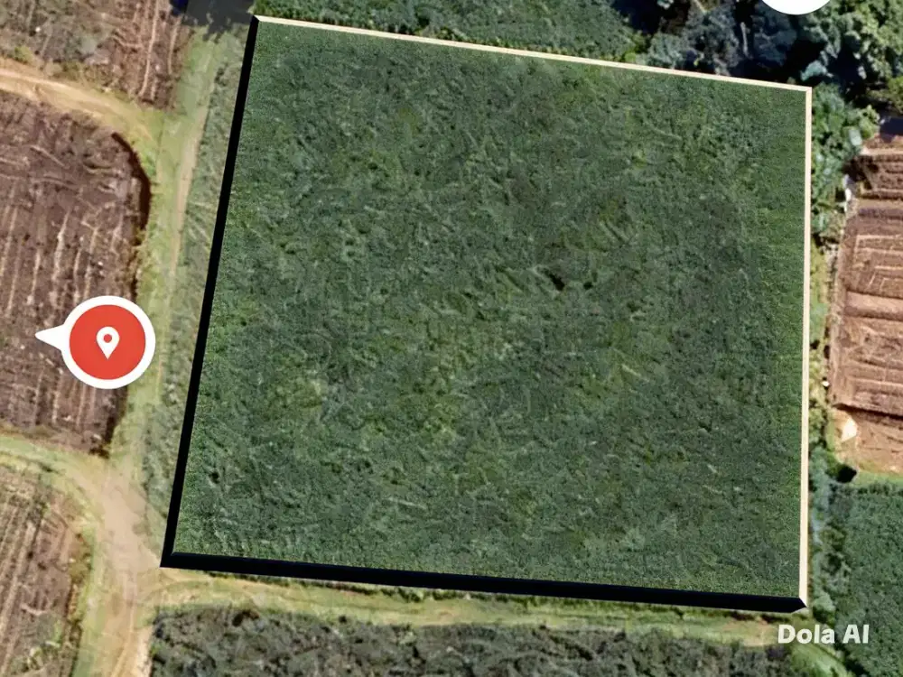 Tanah di jual singosari malang