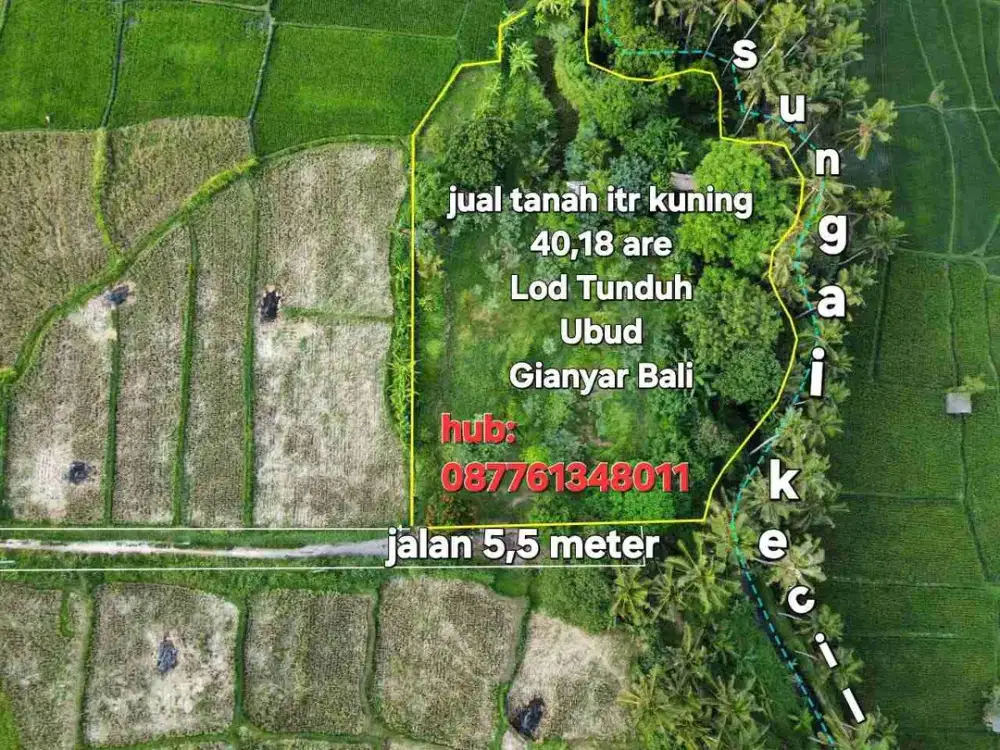 Jual Tanah Ubud, Lod Tunduh Gianyar Bali, cck untuk villa, itr kuning
