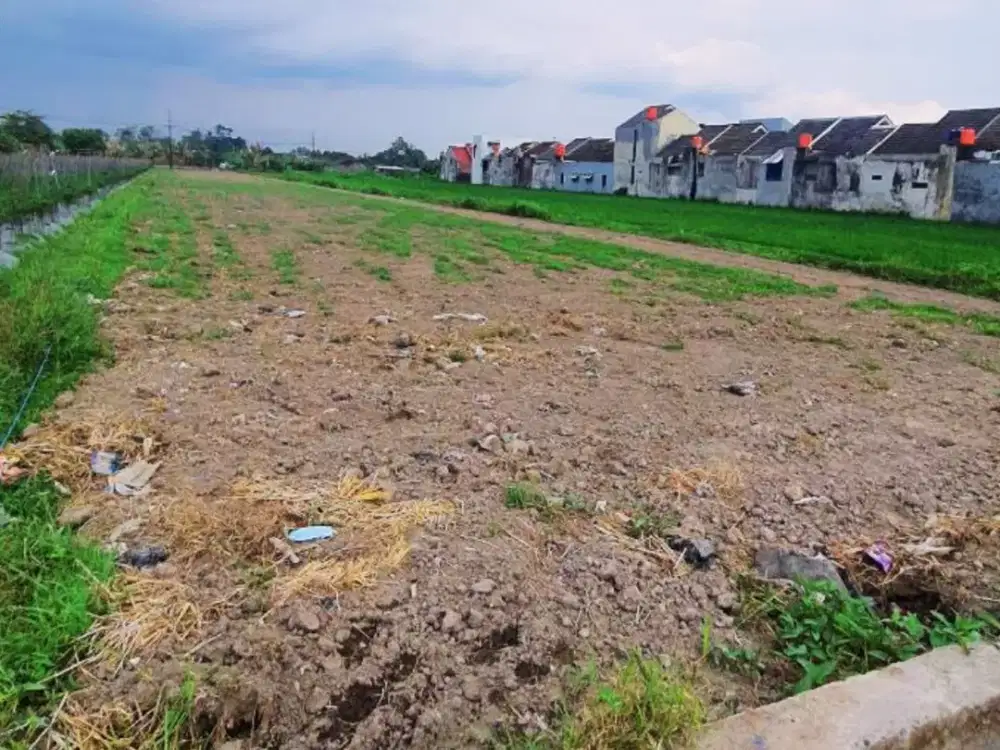 Tanah Sidoarum Godean Jogja, Barat Al-Azhar