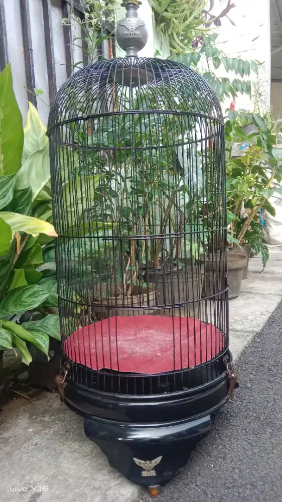 Kandang LB merk Raja