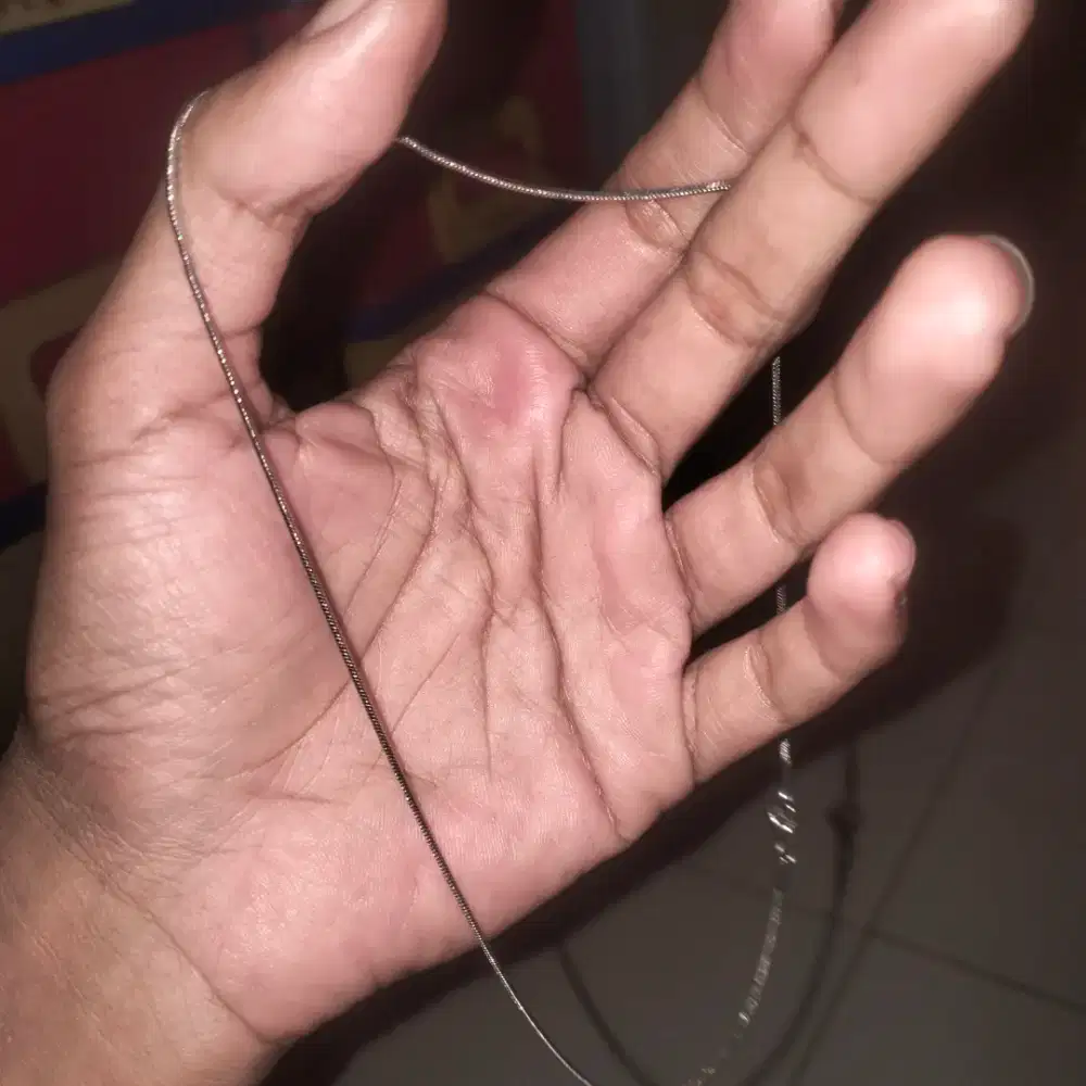 Kalung perak titanium