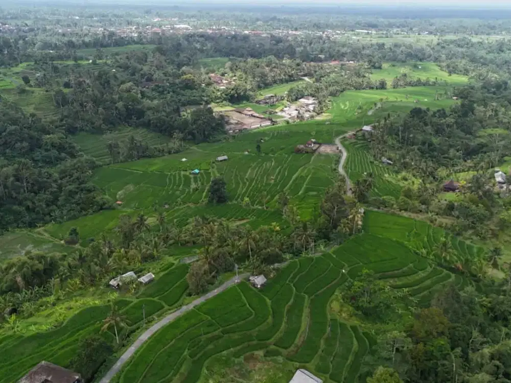 LAND FOR SALE – FULL VIEW IN PENEBEL, TABANAN