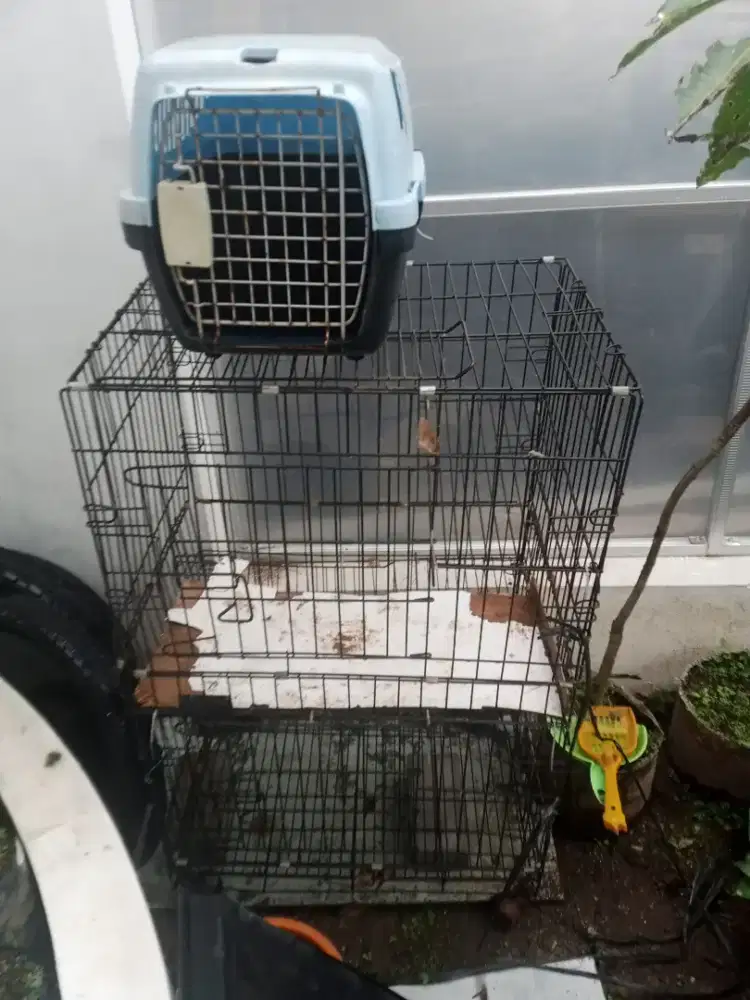Kandang kucing 2 tingkat