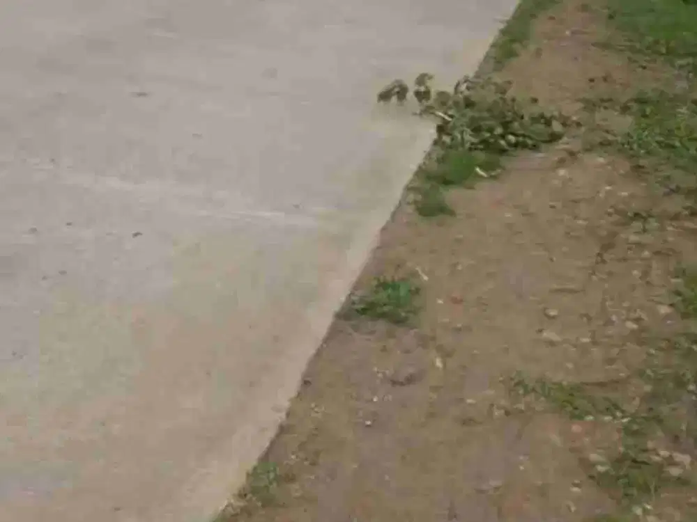 Tanah 9.234 m2 Untuk Pabrik Dekat exit tol Cikedung