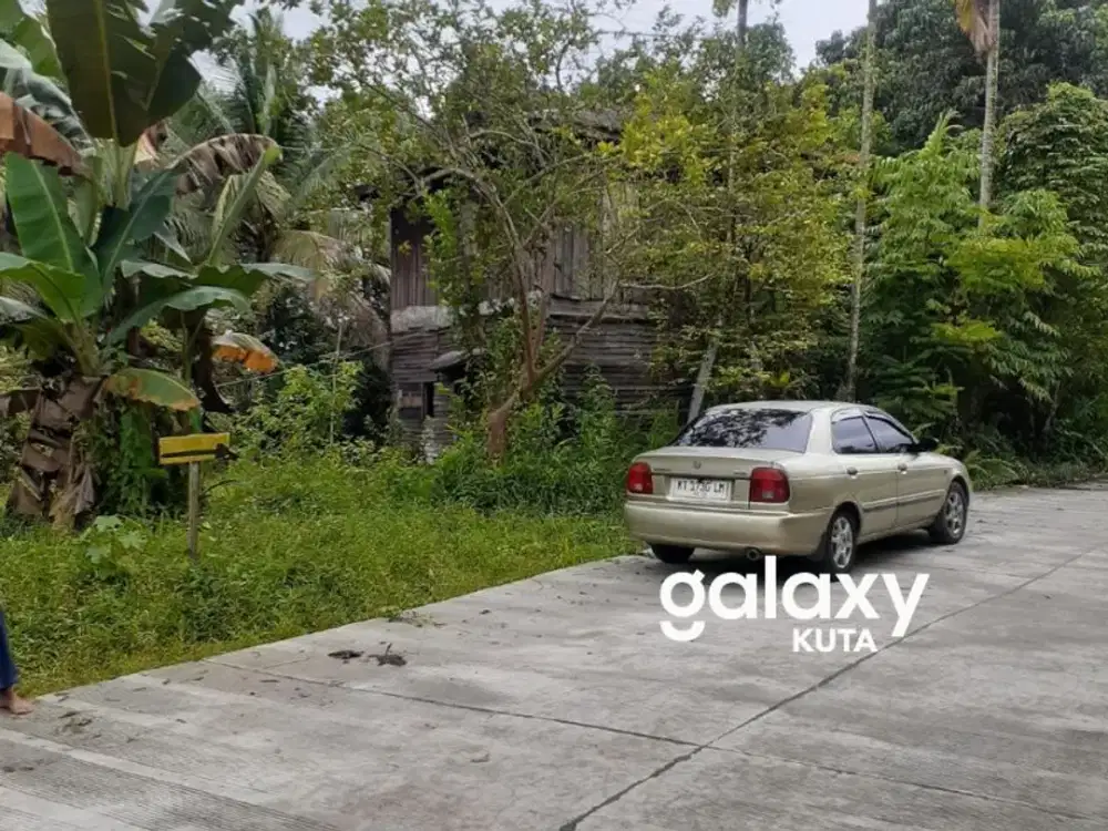 DIJUAL TANAH DENGAN KEBUN BUAH DI KARANG JOANG BALIK PAPAN UTARA
