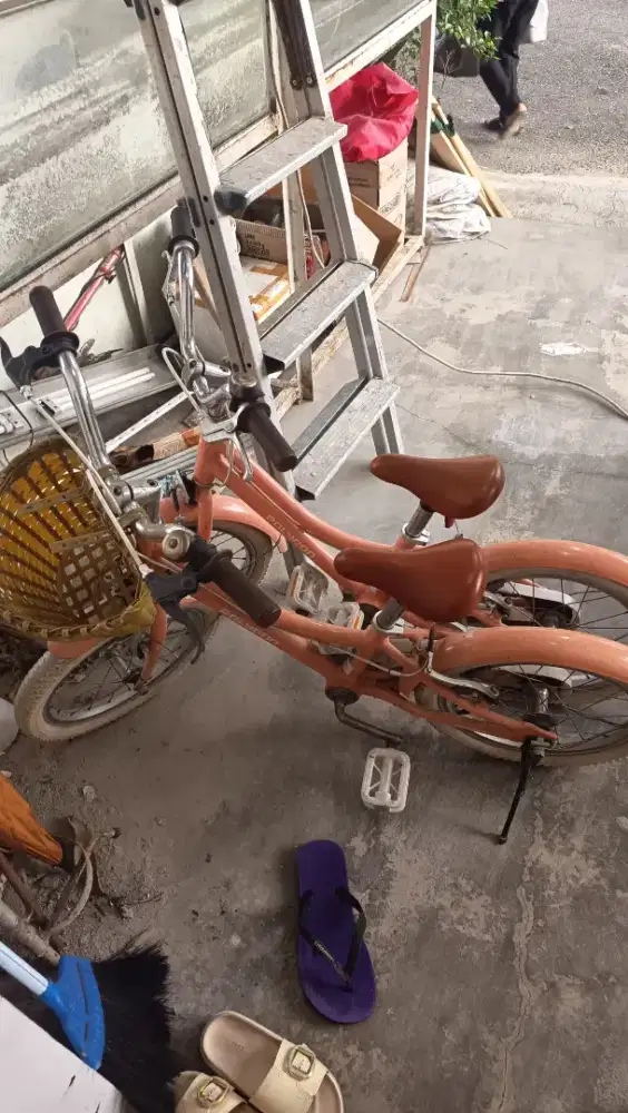 Polygon Alice 16inch