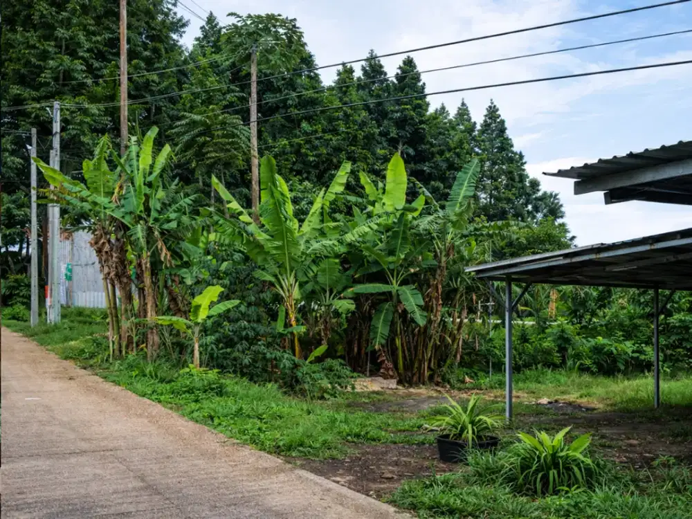 Kavling Setiabudi Bandung – Akses Cepat ke Kota