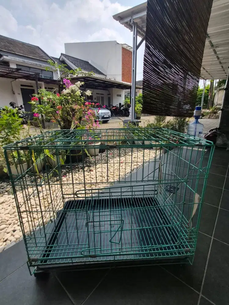 Kandang Kucing 1 Lantai / Tingkat