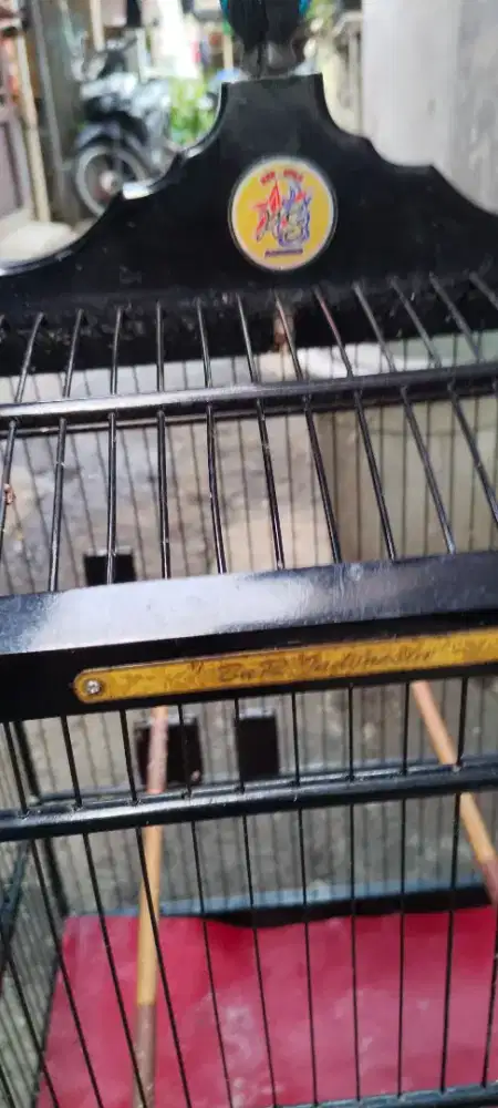 kandang kotak ebod nom2