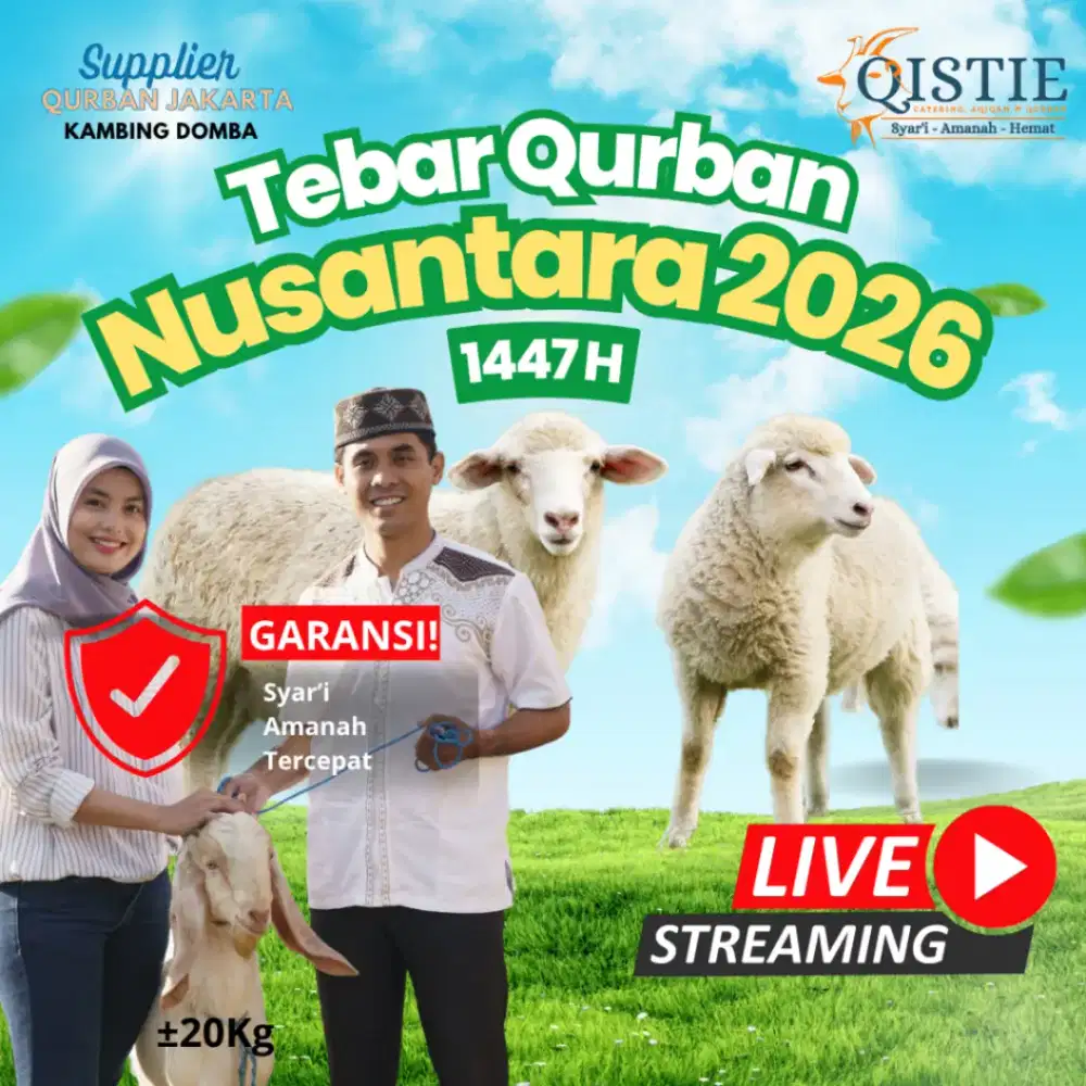 Kambing Domba Kurban Idul Adha - Qurban Berkah Pelosok Nusantara.