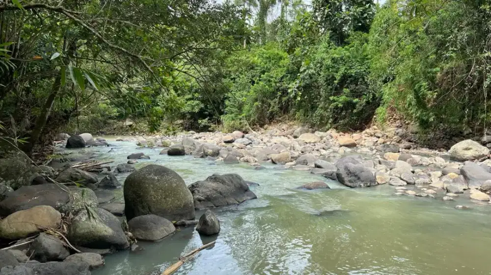 Tanah Los Sungai View Jungle Zona Kuning Di Jalan Utama Tabanan Bali