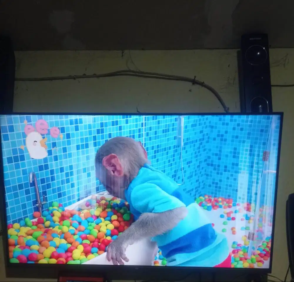 Mi TV Android 43 inch