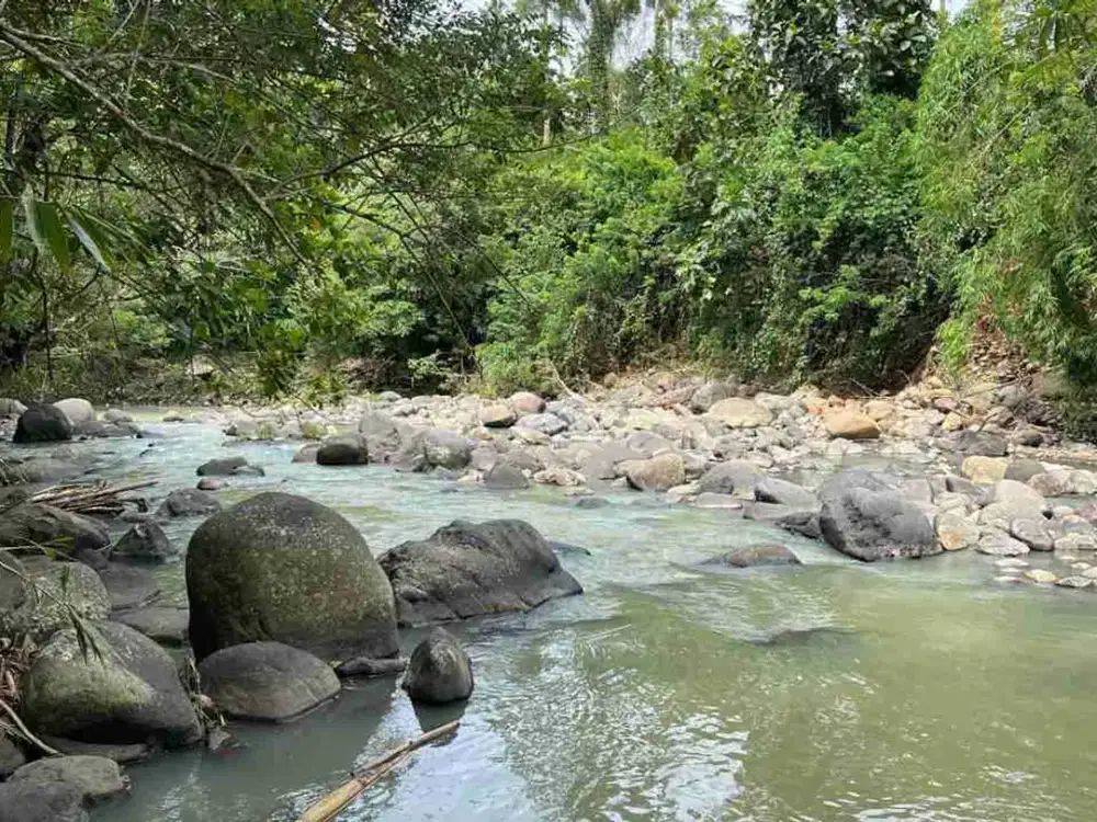 Dijual Tanah Los Sungai Zona Kuning Pinggir Jalan Utama Tabanan Bali
