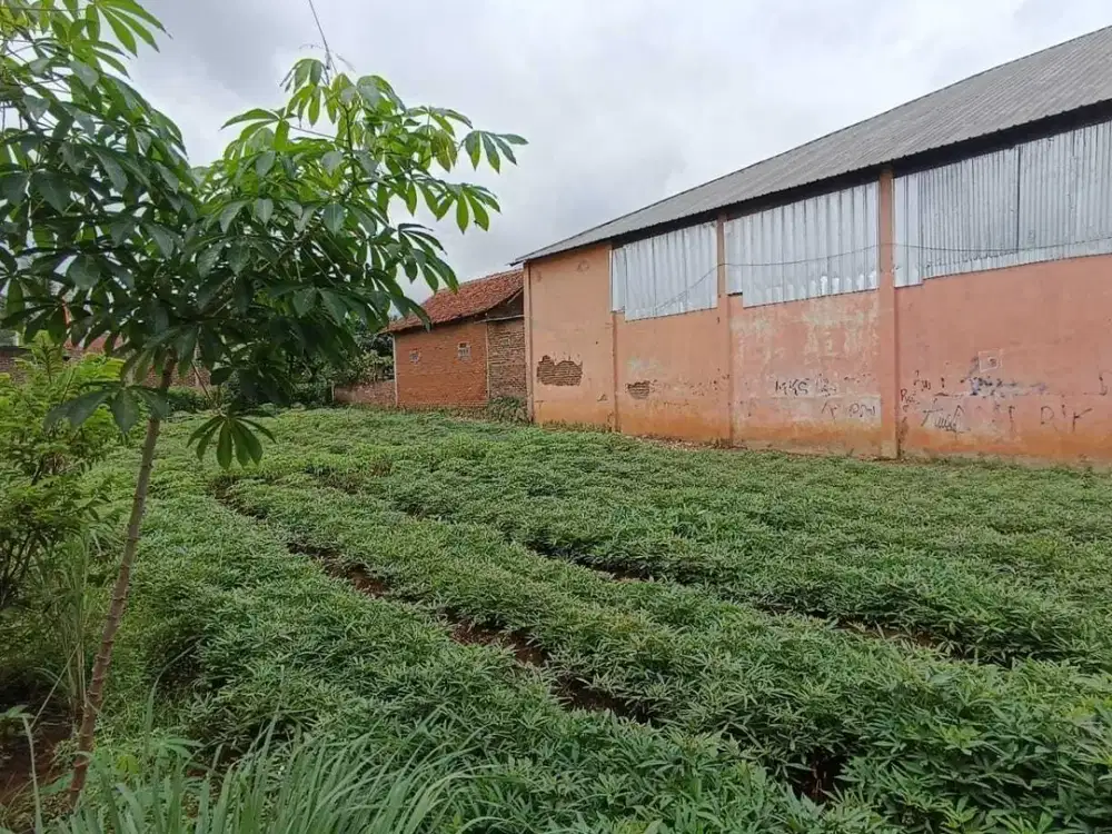 TURUN HARGA JARANG ADA Dijual Cepat Tanah Siap Pakai Di Banjaran SHM