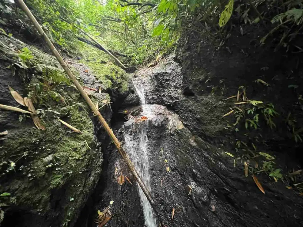 Tanah Luasan Kecil Los Sungai Isi Air Terjun dg Suasana Pedesaan yg Asri