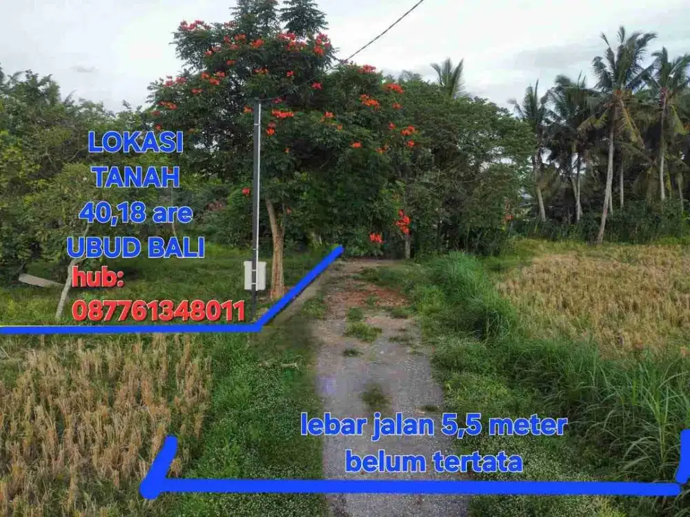 JUAL TANAH 40,18 ARE,LOD TUNDUH UBUD BALI