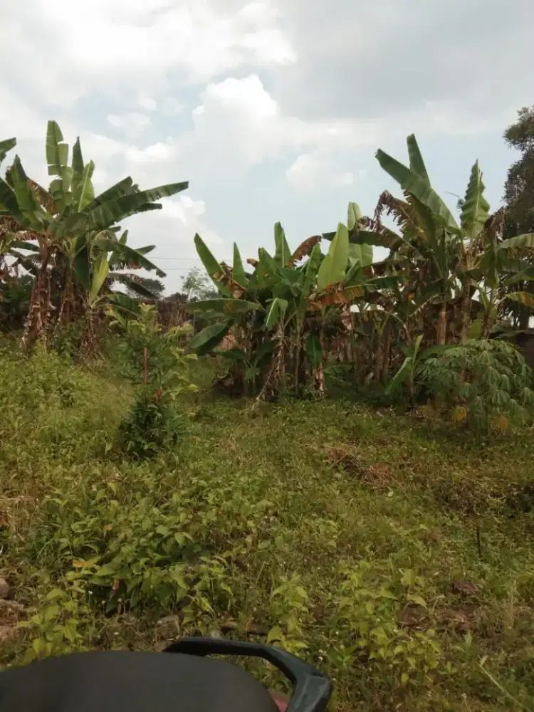 Dijual Tanah SHM Tanpa Perantara