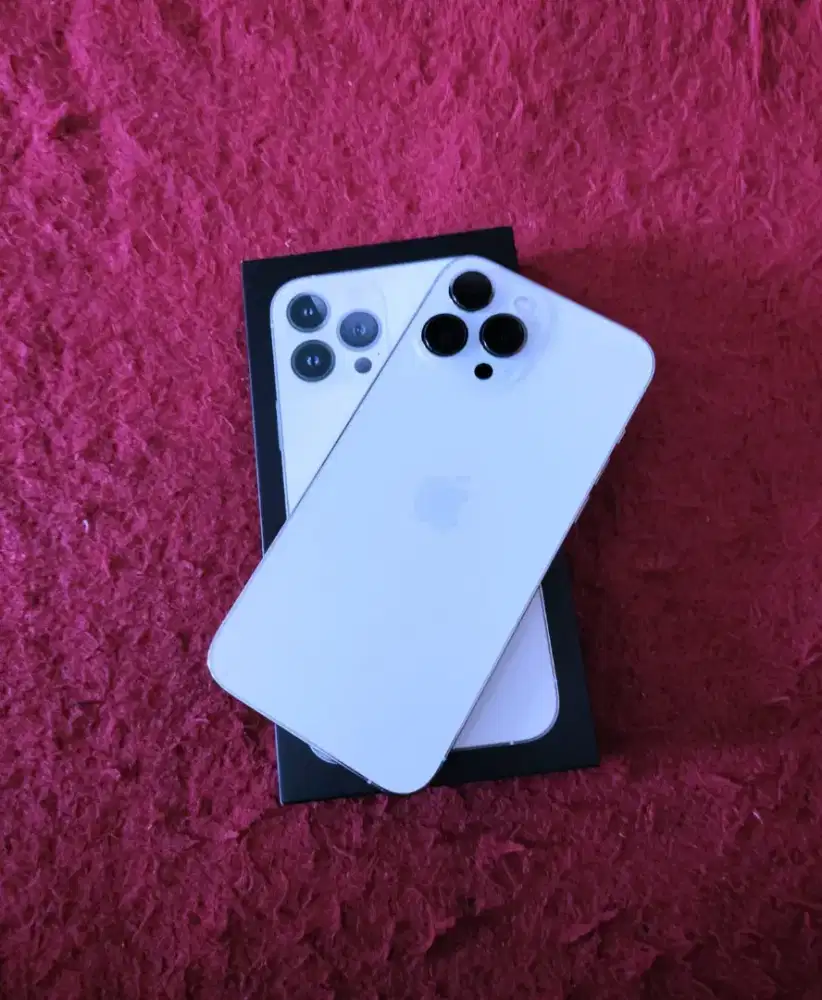 IPhone 13 pro max 256 gb silver