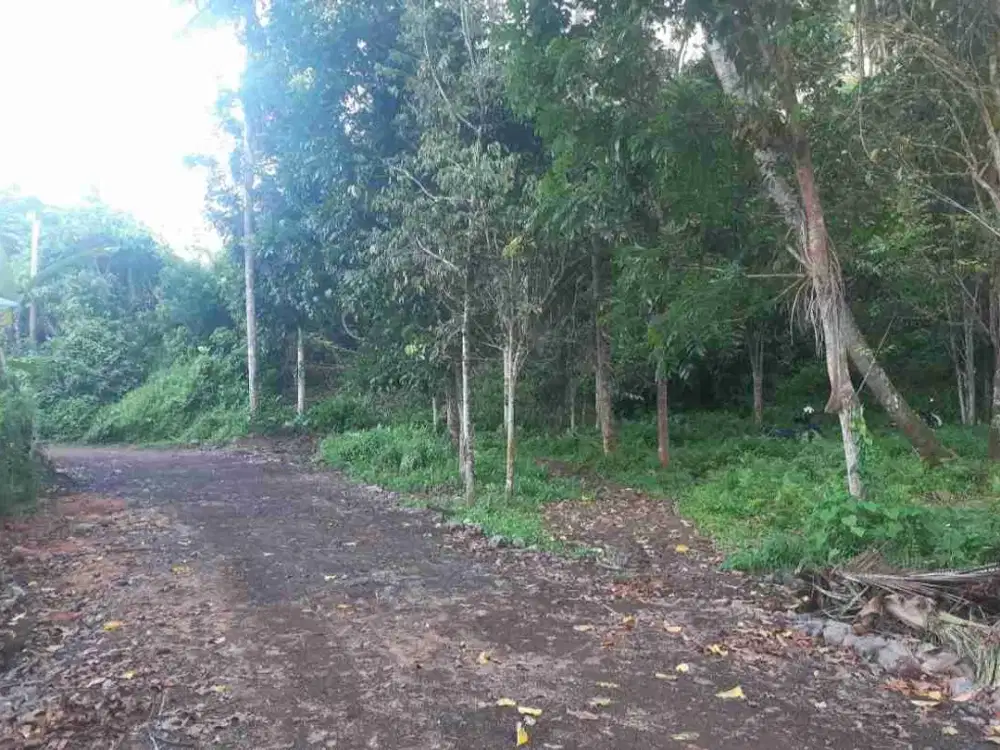 DIJUAL CEPAT TANAH CANTIK DAN MENARIK DAERAH SEA, HARGA SANGAT MURAH