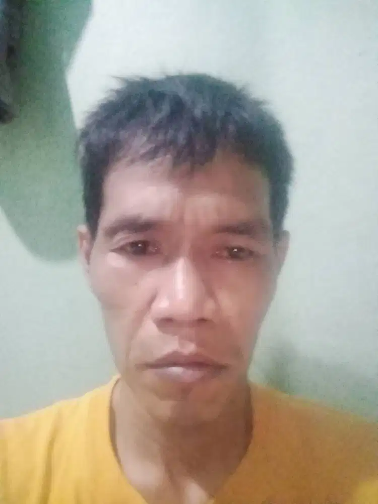 Driver motor pribadi & pengiriman dokumen