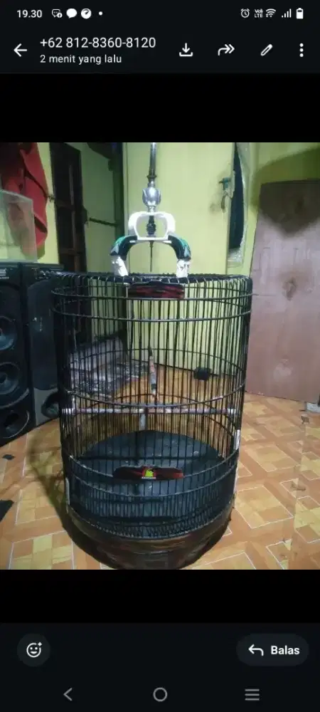 Kandang murai no 3 keker