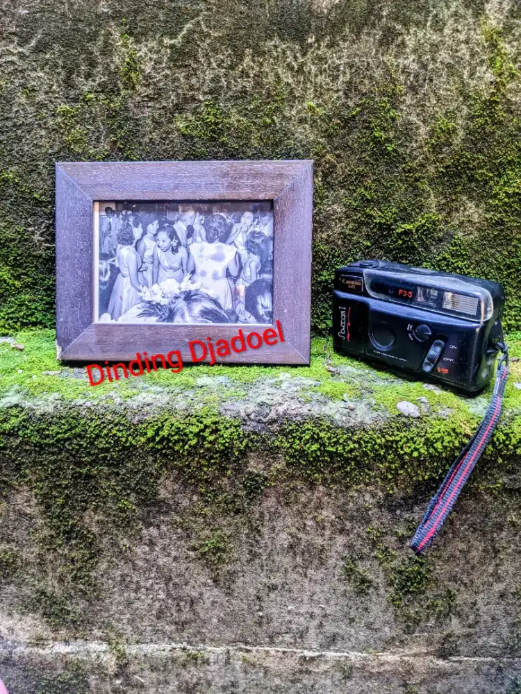 Foto candid pesta dansa 1960an - momen kecupan romantis