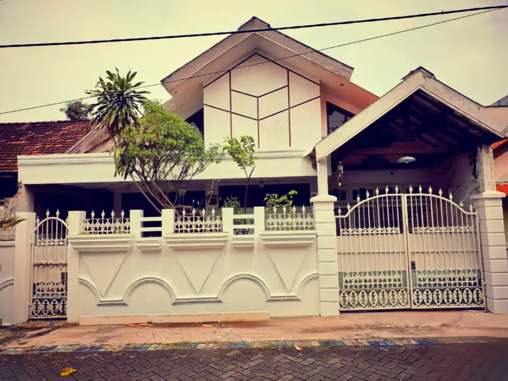 Disewakan/ jual