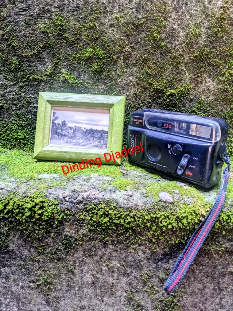 Foto taman makam 1950an - bingkai hijau