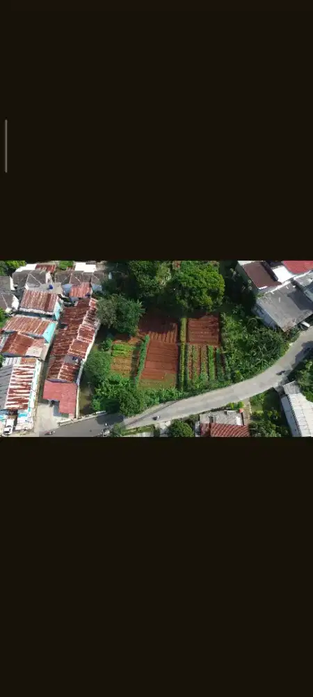 Di Sewakan Tanah Untuk Usaha Luas 1,2 Hektare