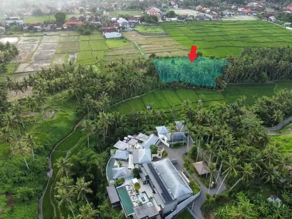TANAH VIEW SAWAH DAN SUNGAI LOKASI LOT TUNDUH UBUD